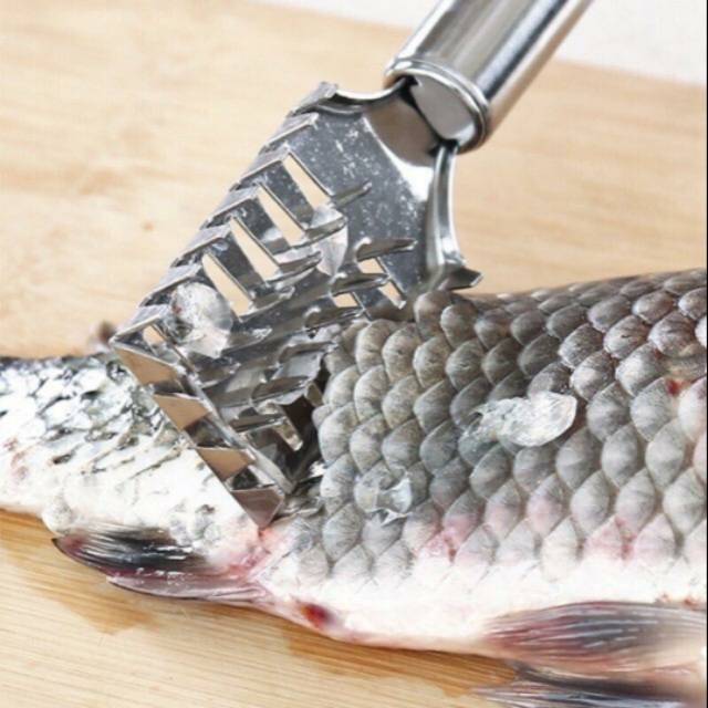 alat pembersih sisik ikan stainless steel fish scaller