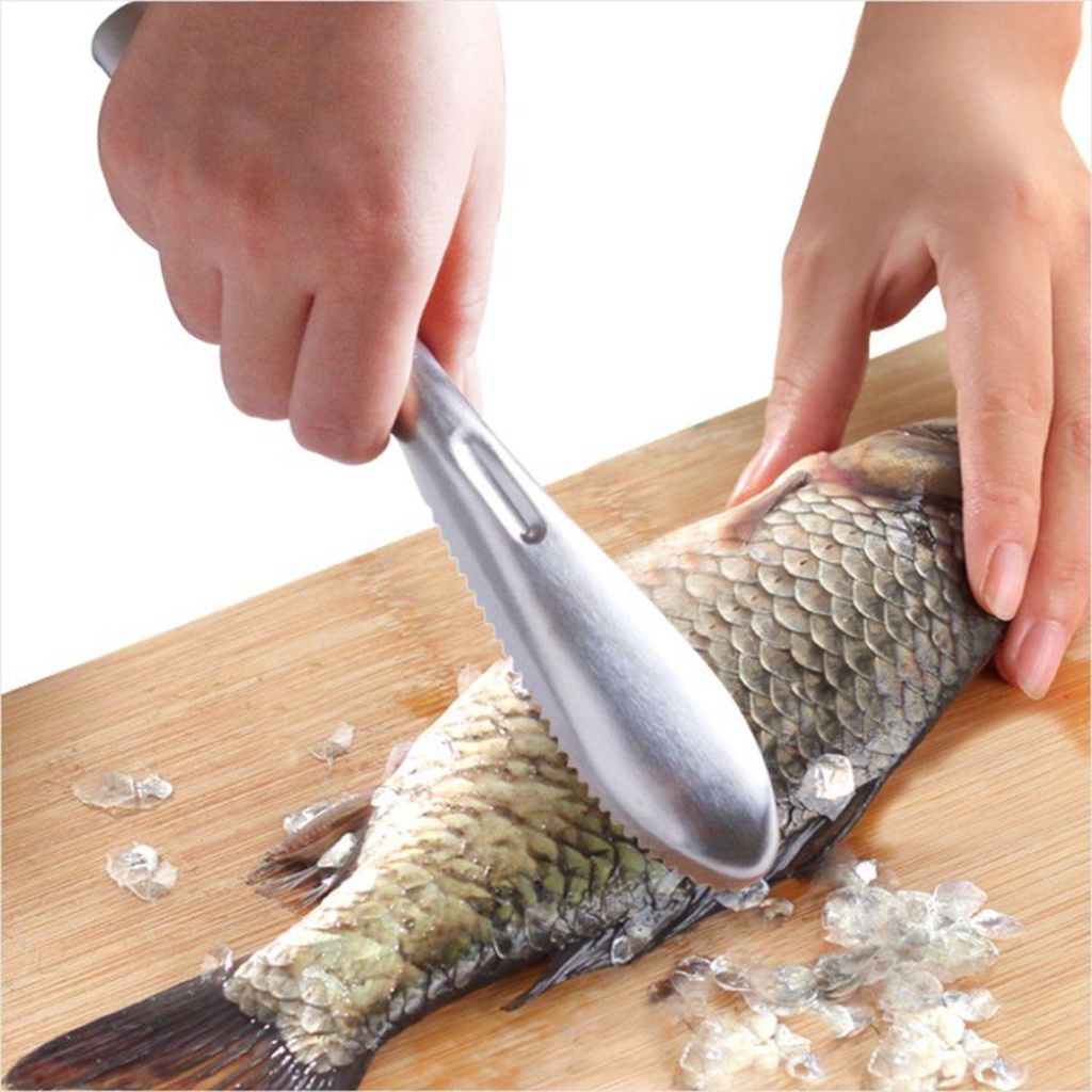 [Elegan] Fish Scaler Efisien Manual Remover Alat Pembersih Pengupas Kulit Ikan Sikat