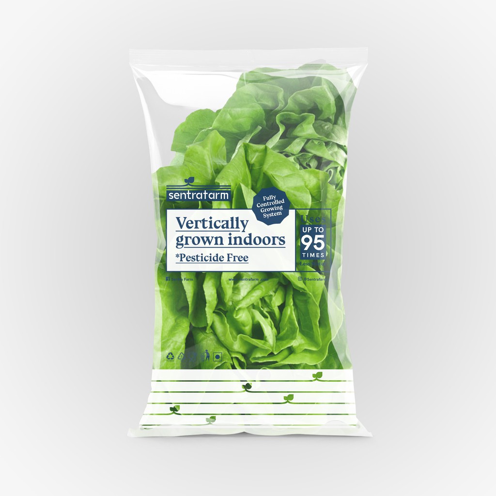 

Butterhead Lettuce Hidroponik (250 gr)