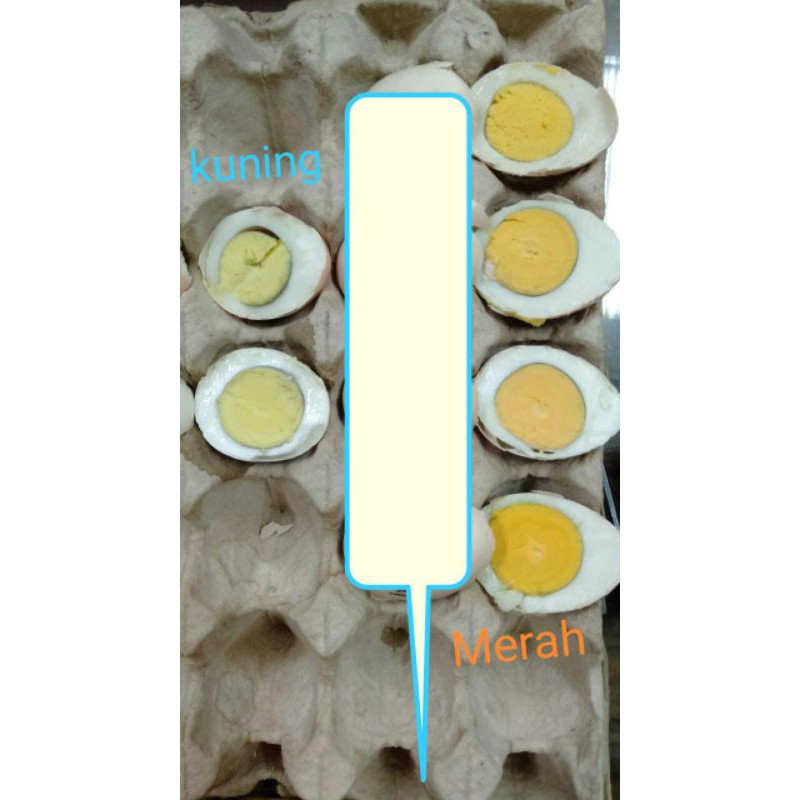 

telur ayam kampung kuning per tray isi 30 biji