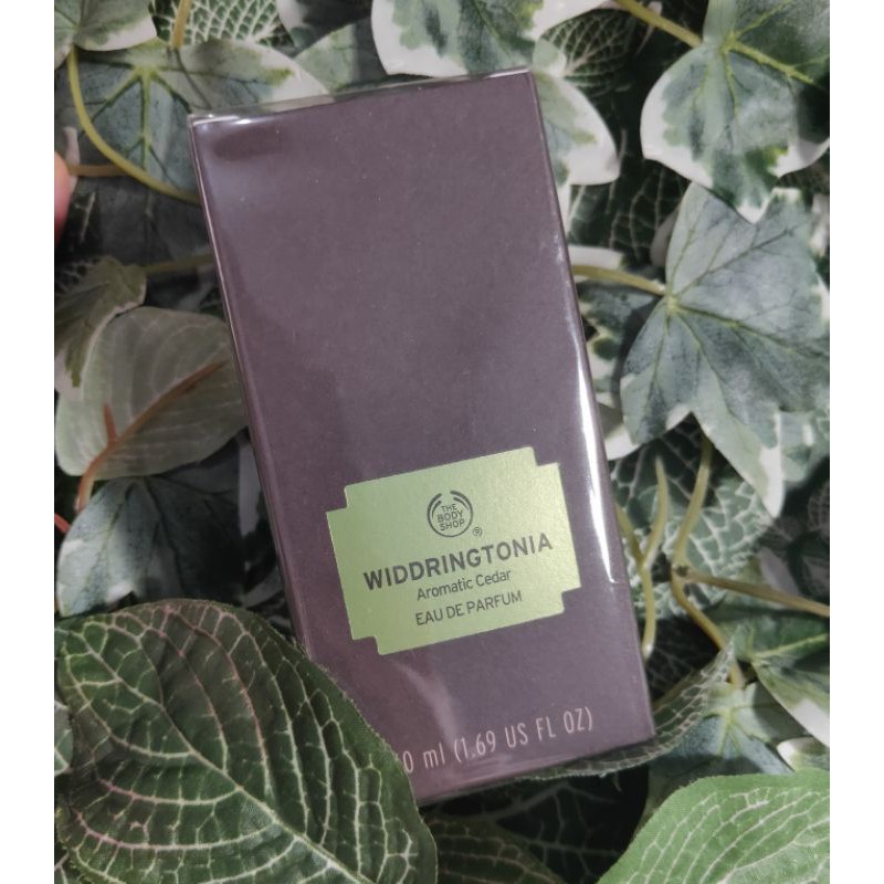Widdringtonia EDP The Body Shop