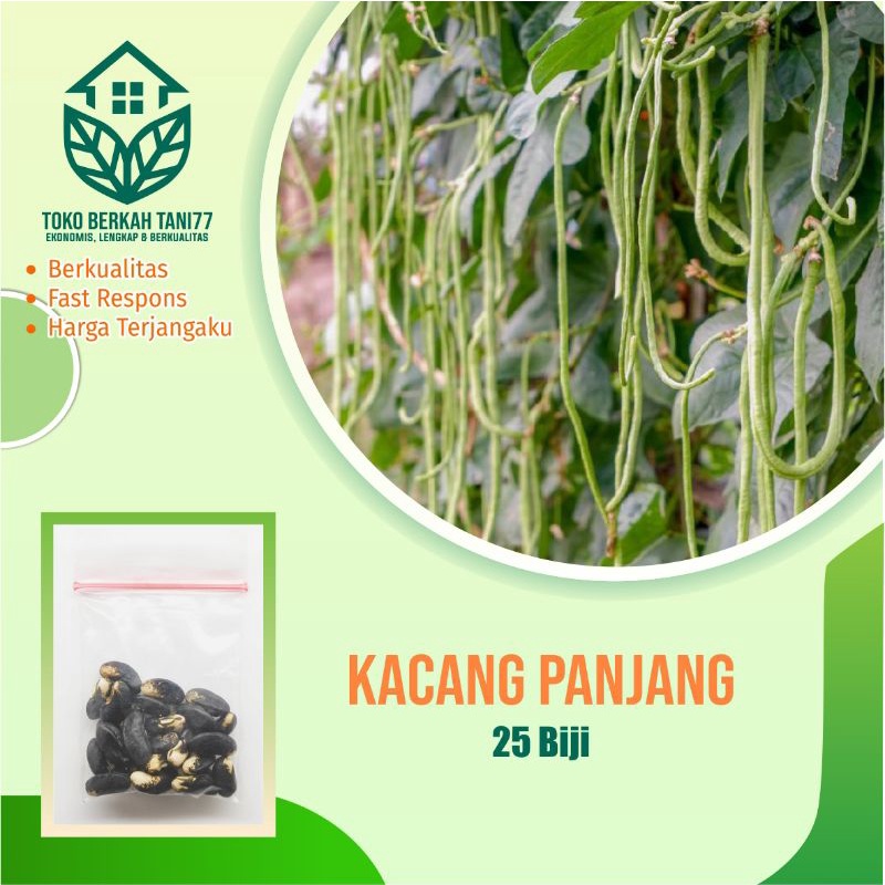 BENIH SAYURAN UNGGUL TERLENGKAP TERJANGKAU BIBIT KUBIS TOMAT SAWI TERONG CABE BUNCIS BAYAM KANGKUNG-Kacang panjang
