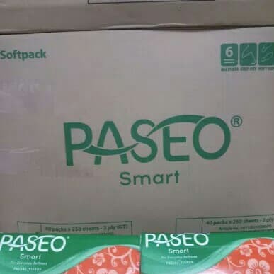 Tissue Paseo 2 play / dus