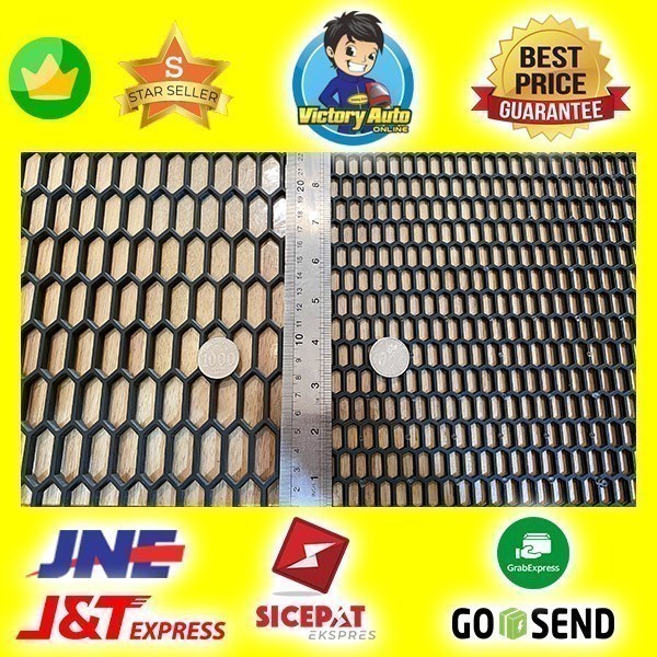 Jaring Grill Bumper Mobil Carry Futura