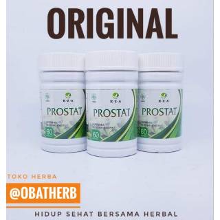 Leaflet / Brosur Cara Penyimpanan Obat | Shopee Indonesia