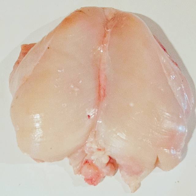 

Fillet Dada Segar / Chicken Breast Packing 1kg