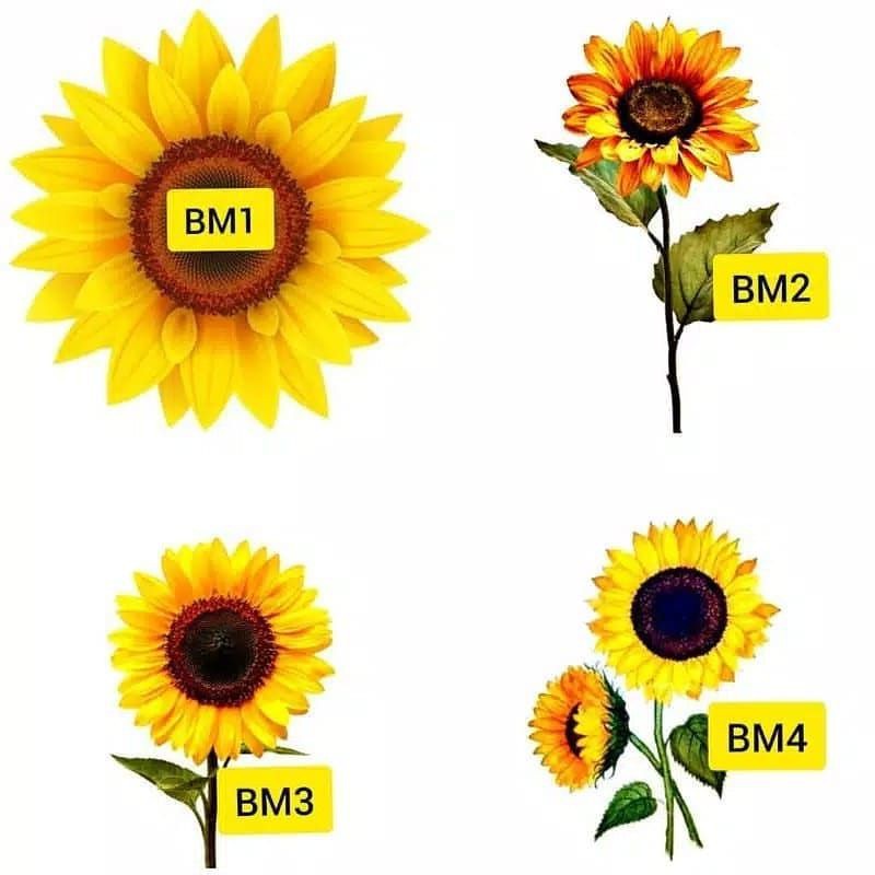 Tato Temporer Bunga matahari Tato sunflower berwarna Tato simple Stiker Tato Minimalis - BM