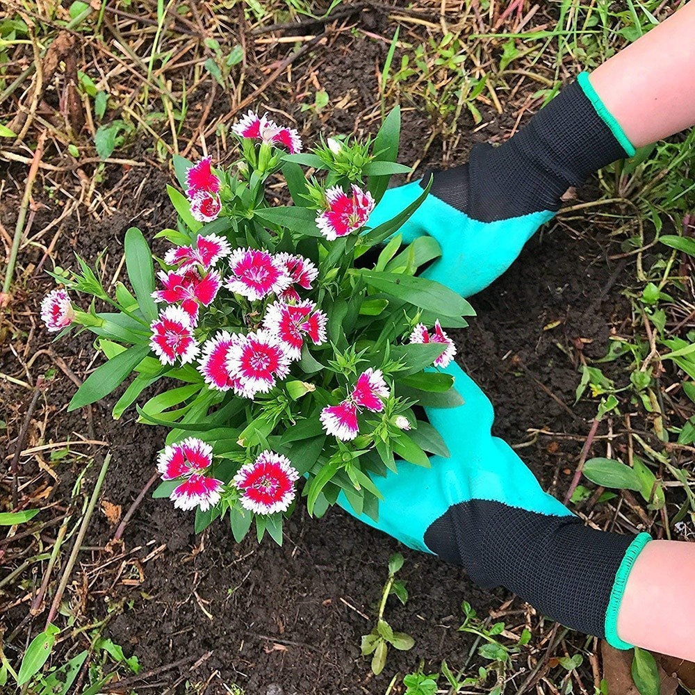 Garden Genie / Sarung Tangan Berkebun