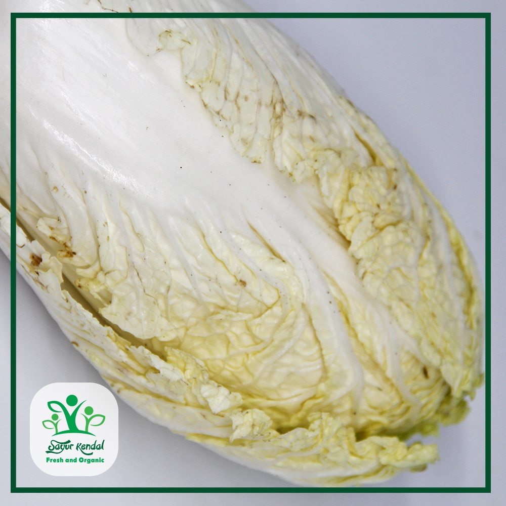 

RB Sawi Putih - Sayur Kendal