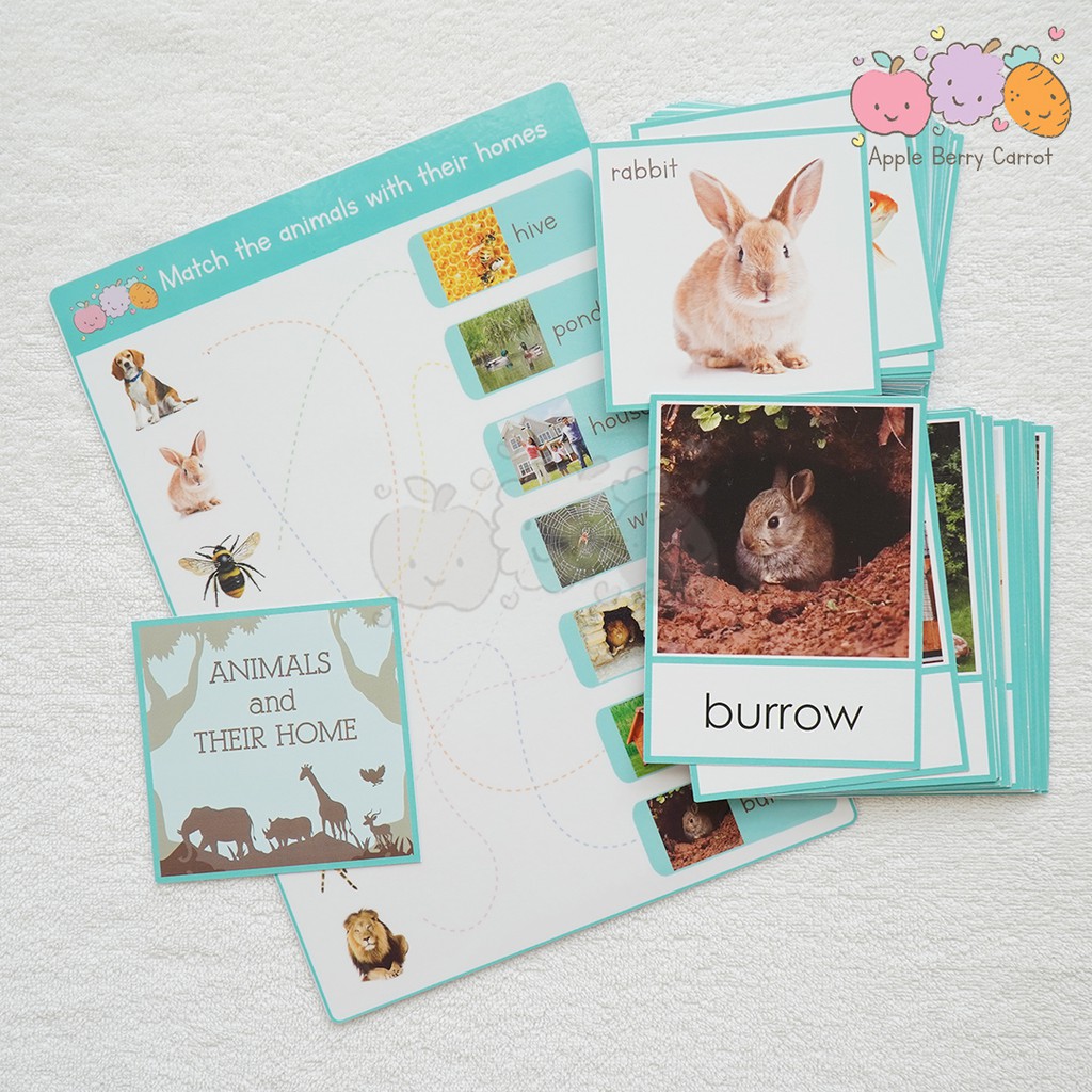 ANIMALS AND THEIR HOME Play And learn Appleberrycarrot Animal