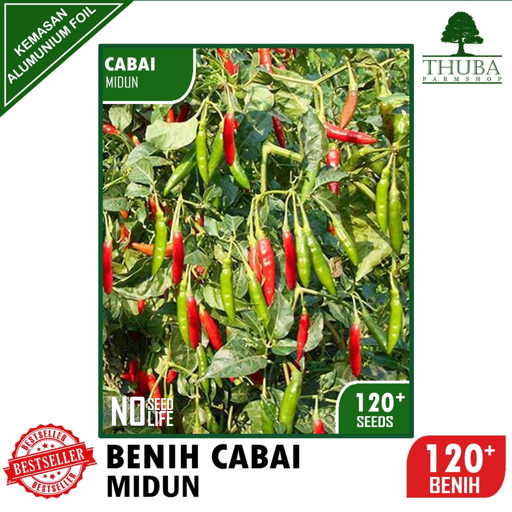 120 Biji - Benih Cabai Rawit Midun - Cabe Rawit Hijau Merunduk