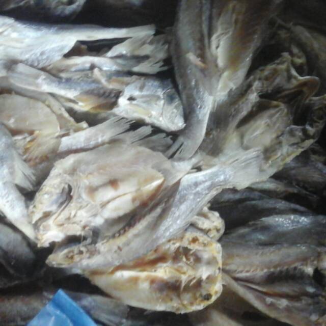 

Ikan asin kepala batu khas palembang