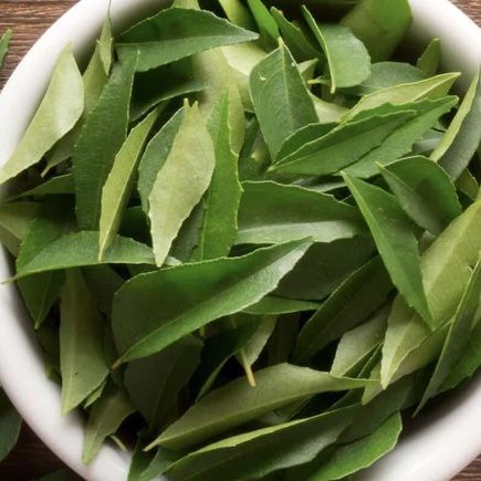 

Daun Kari Kering | Salam Koja | Dried Curry Leaves - 5gr