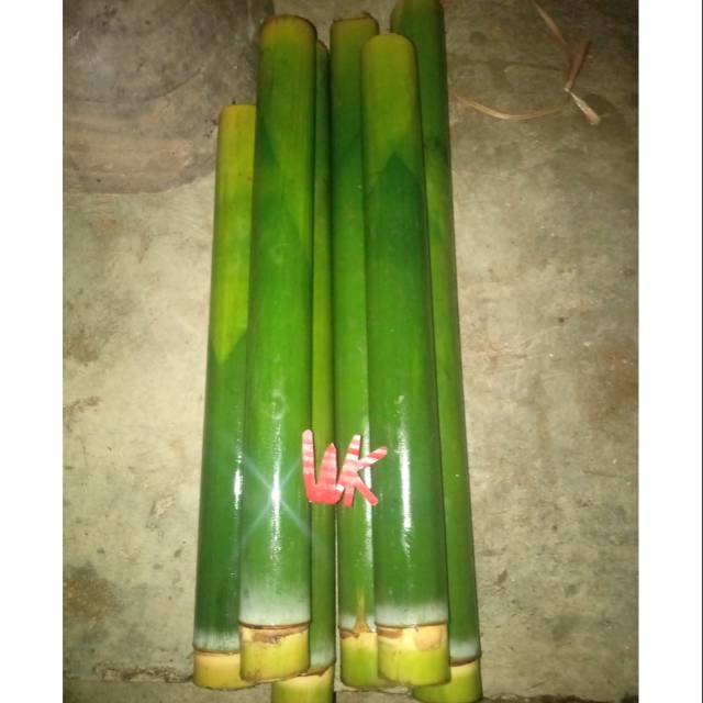 

Bulu Nasi Jaha / Bambu Lemang Per 10 Pcs