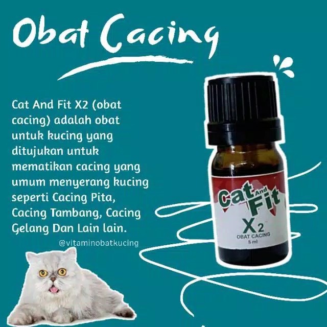 PAKET Obat Anti Jamur Cacing Kutu Scabies Kucing X1 dan X2 Cat and Fit Ampuh