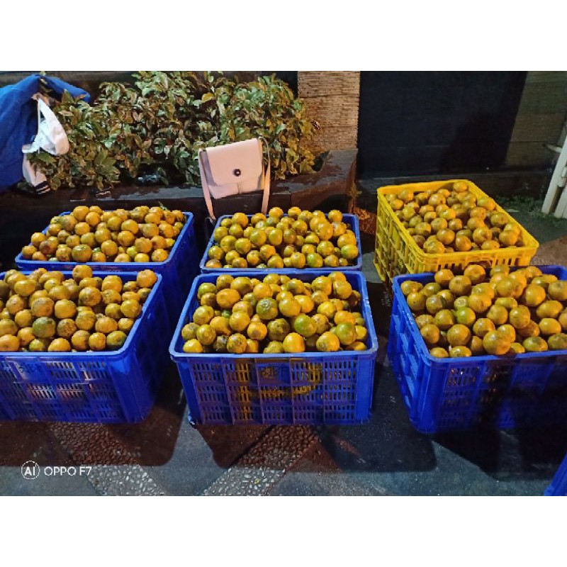 

siem madu malang rasa manis