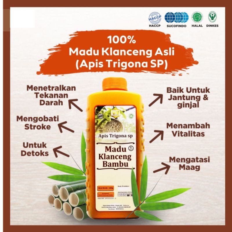 Madu Klanceng Bambu / Lebah Apis Trigona Murni & Asli 100%