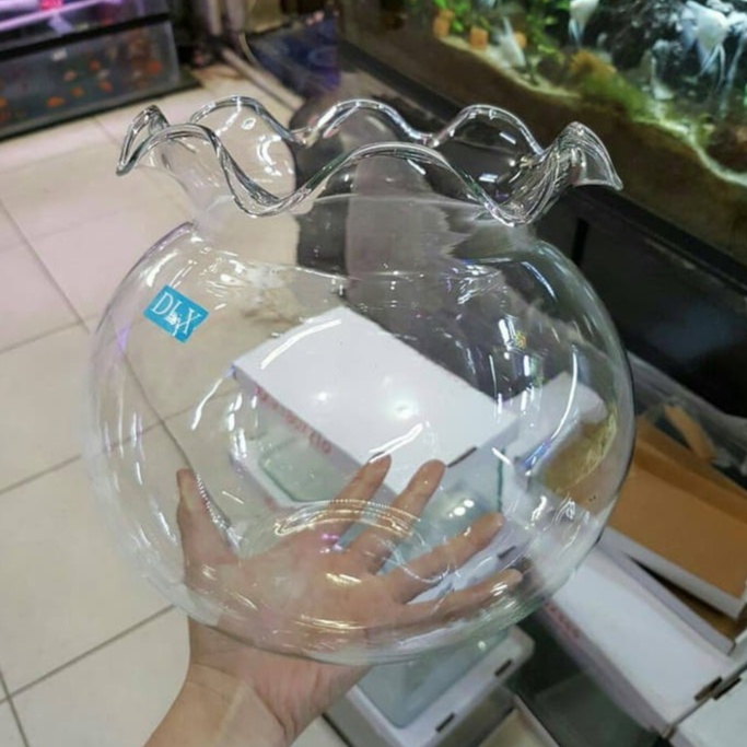 (GOJEK) AQUARIUM BULAT 7 dan 12 LITER / TOPLES SHELLA / FISH BOWL