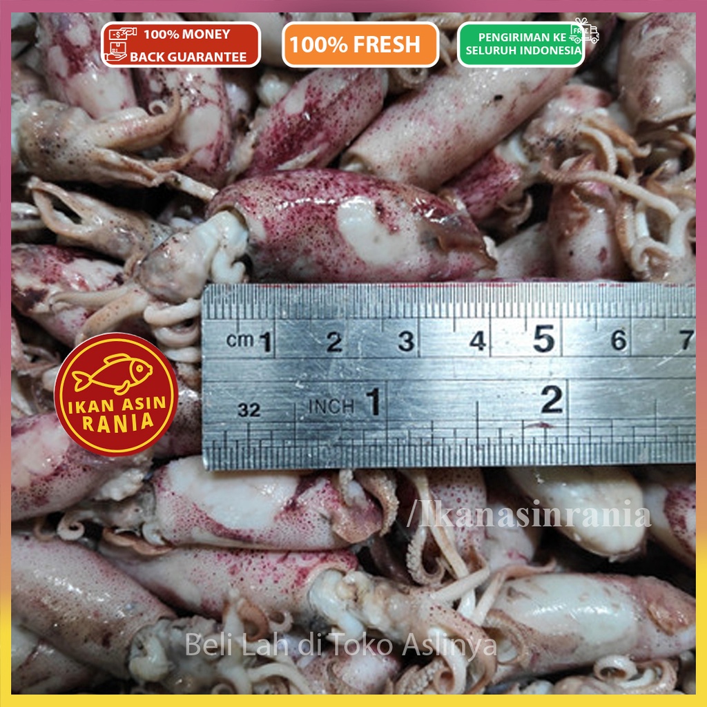 

PROMO Cumi Baby Rebus 1-2cm 1-3cm 1-4cm / 250gr / Cumi Asin Baby Rebus Mentah Untuk Sambal Cumi