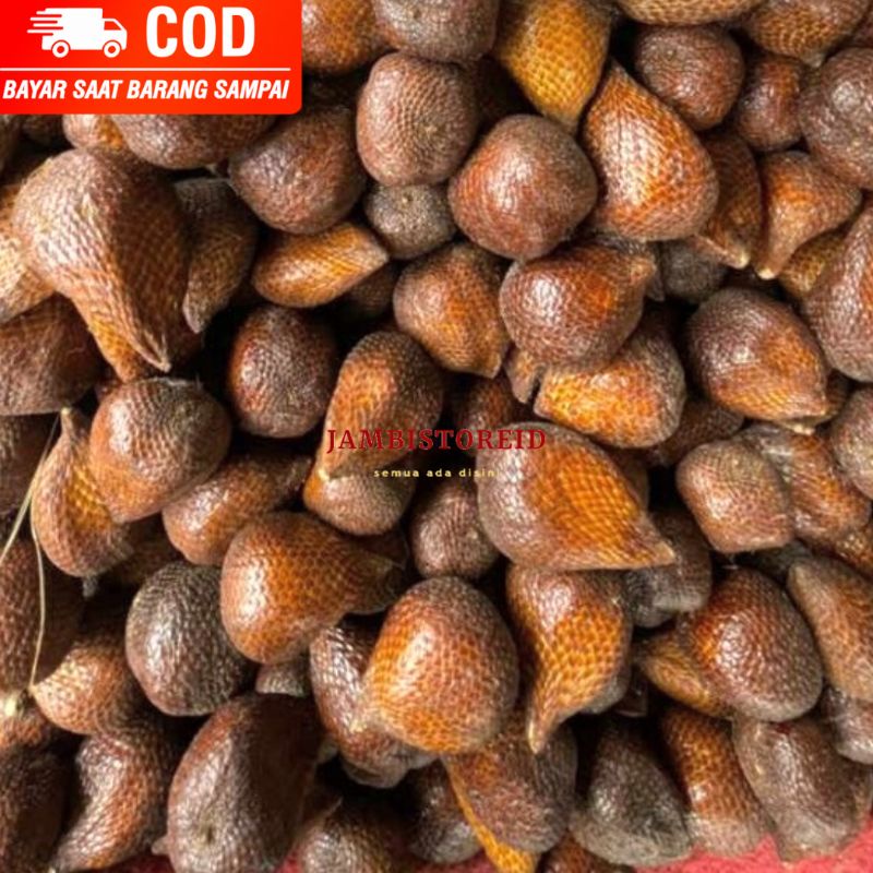 

(JAMBISTOREID) JAMBI LANGSUNG KIRIM Buah Salak Pondoh Pondok Premium Jastip Buah Segar Manis Mall