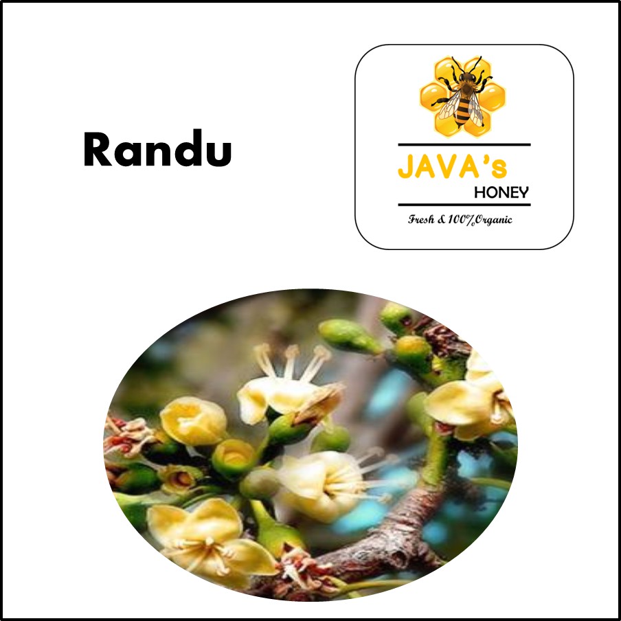 

Madu Randu