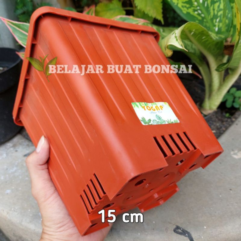 Pot Kotak YPK 15 Cm Pot Tanaman