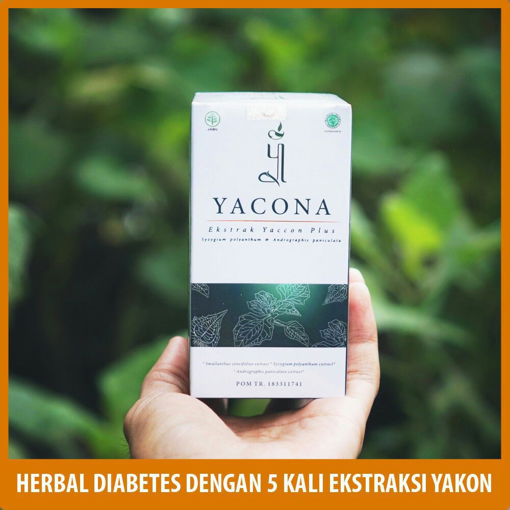 HERBAL PENURUN GULA DARAH TINGGI YACONA HERBAL AMAN & ALAMI