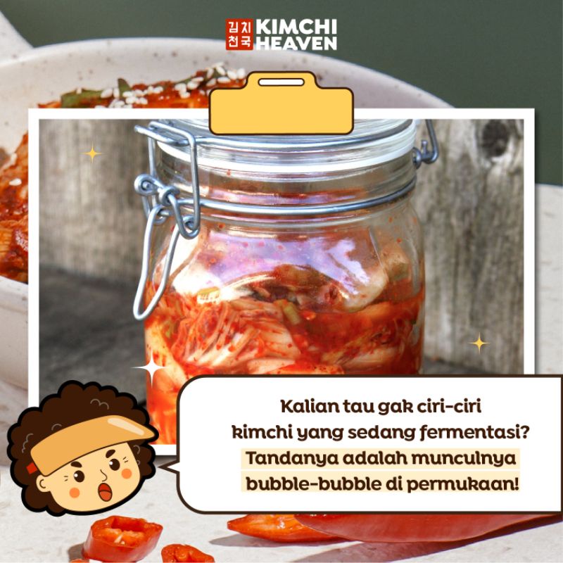400G Fresh Korean Kimchi In Jar Halal (Sawi / Lobak /Timun / Mix) Pasti Ori