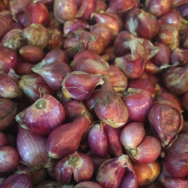 

BAWANG MERAH BREBES (500 gr)