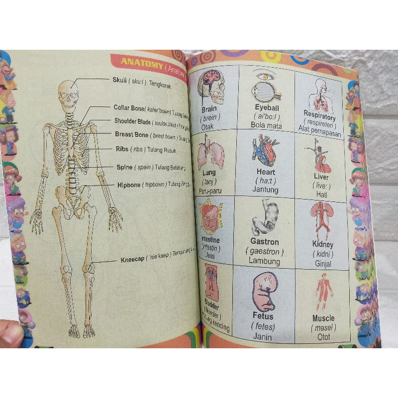 Buku Anak - Kamus Ideal Inggris Indonesia Bergambar Grammar And Conversation-2