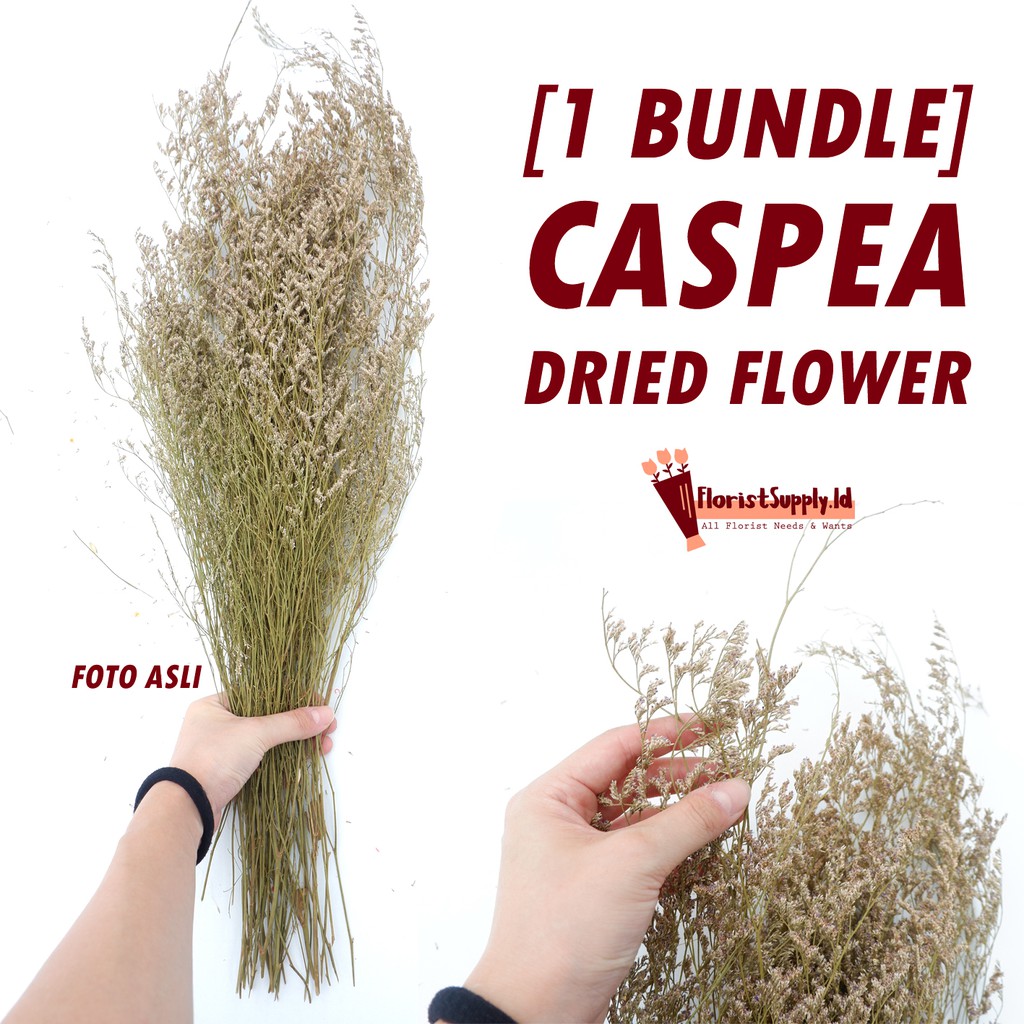 [1 Bundle] CASPEA Dried Flower Premium 50gr