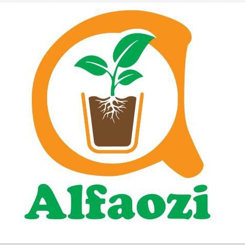 alfaozi