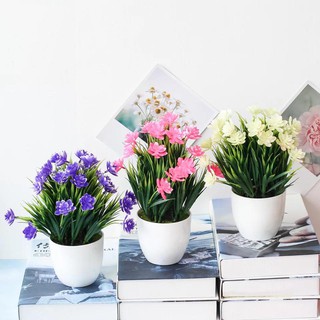 Bunga Daisy Dekorasi BP8828 Bahan Plastik Free Pot Busa Bunga Daisy Dekorasi BP8828 Bahan Plastik Free Pot Busa
