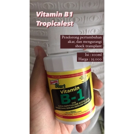 Vitamin B1 (Vitamin tanaman)