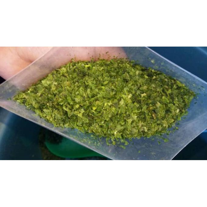 

Aonori Atau Nori Bubuk, Ao Nori Kemasan Share 20Gram Ekonomis