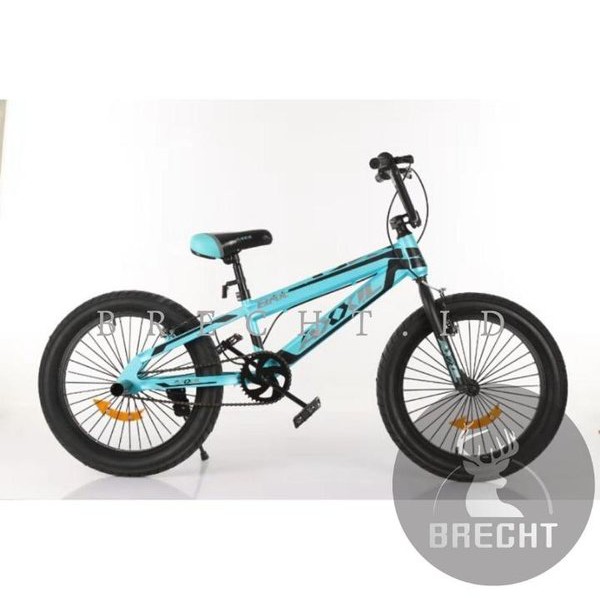 Sepeda Anak Bmx Axxil ban 3.0 Sepeda Anak 20inch