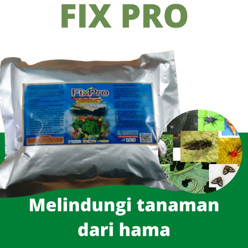 Fungisida Fix Pro Padi Terbaik, Pupuk Fungisida Padi Bunting