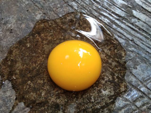 

RB Telur Ayam Negri Lokal Segar Grade A Per KG