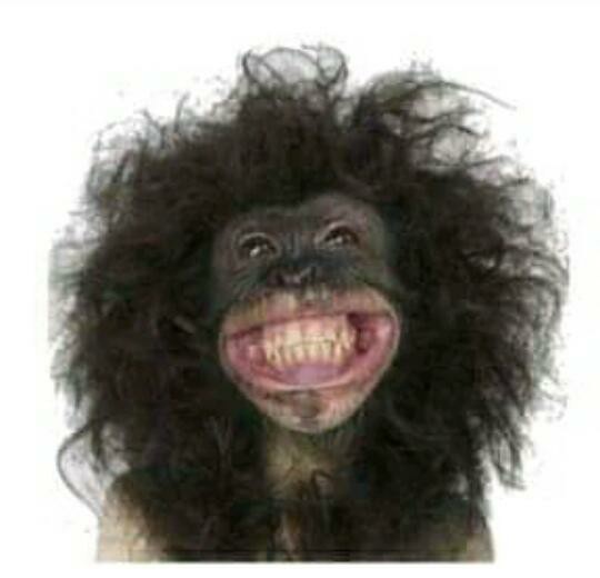 Bswart Batik Hrb026 Kenongo Hem Pendek Padi Pekalongan M L Xl Batik Pria Murah Modern Grosir