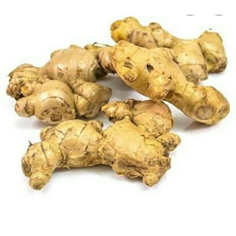 

Jahe fresh 250grm