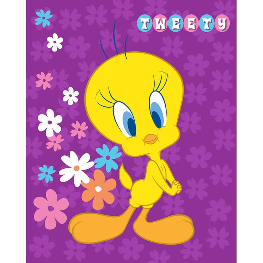 Selimut Internal Tweety 160x200