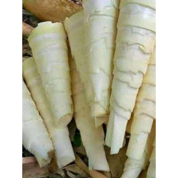 

Sayur rebung bambu petung