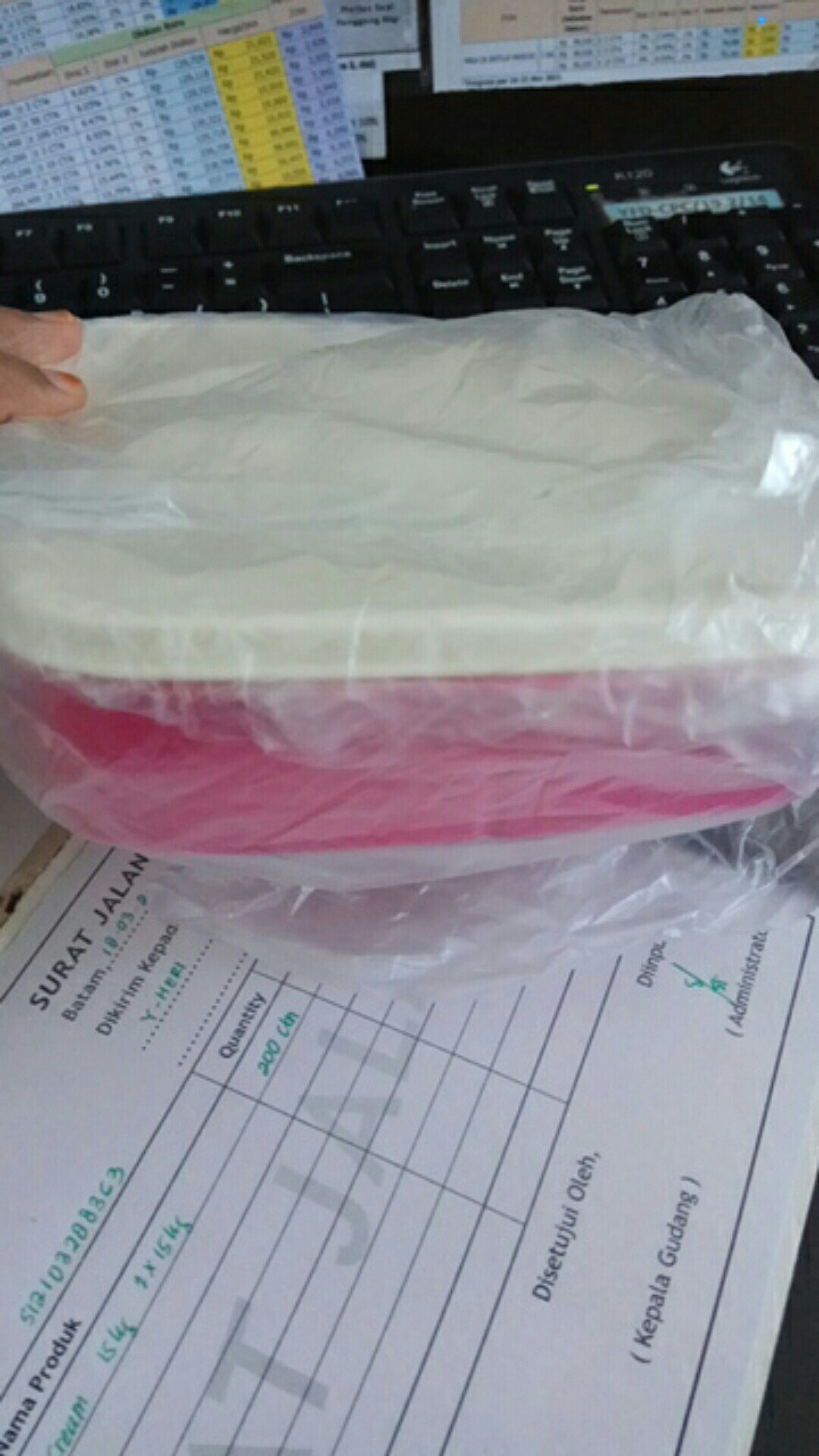 Tupper  Ware  Lolly Tup