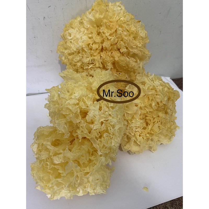 

Jamur kuning / mokni kuning (500gr)