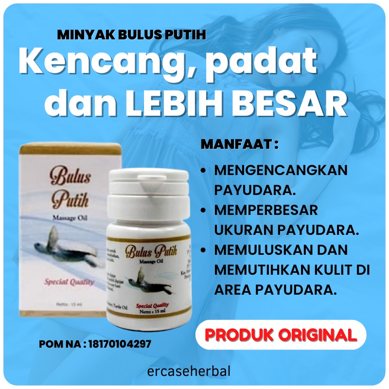 Minyak Bulus Obat Pembesar Payudara Ampuh Permanen Pengencang Payudara yg kendur Bpom Original