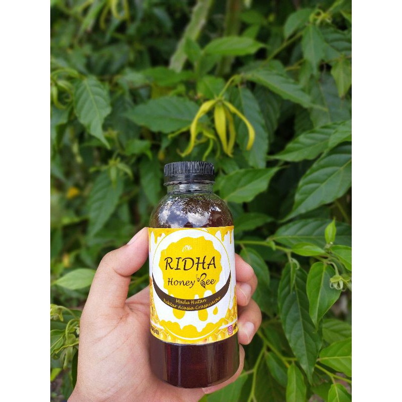 

Madu Murni Nektar Akasia Jambi 250 gr