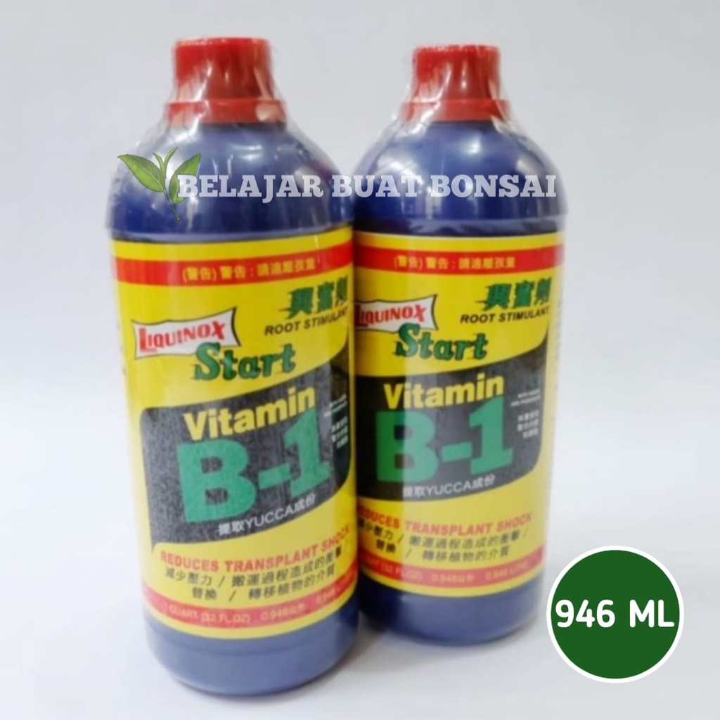 Pupuk Vitamin B1 Tanaman Taiwan 946ml Original