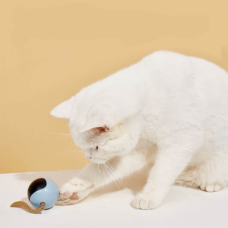 1 Pc Mainan Bola LED Interaktif Anti Bokong Untuk Kucing Peliharaan