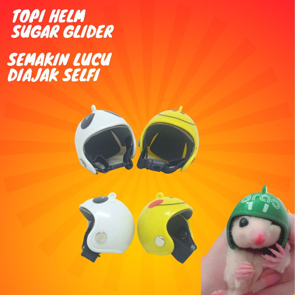 ADEWAP GLIDER Helm Aksesoris Selfi Hewan Peliharaan Topi Sugar Glider