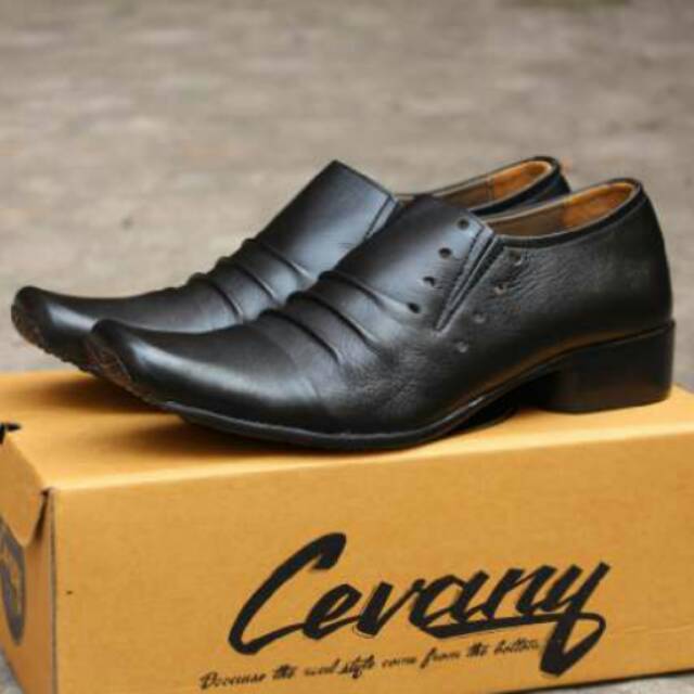 CEVANY CEVANY CEVANY